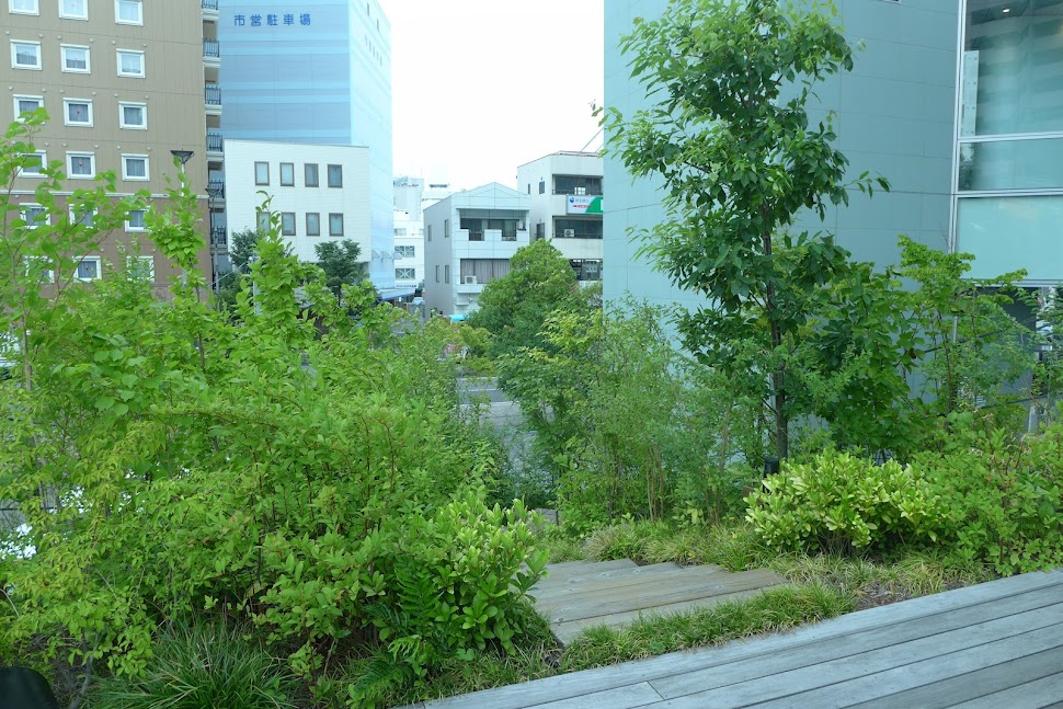 町なか緑拠点 ‘ヤマノカケラ’ 写真