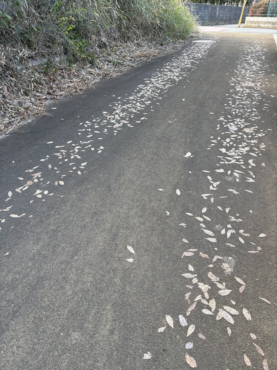落ち葉舗装・・・@東久留米 写真