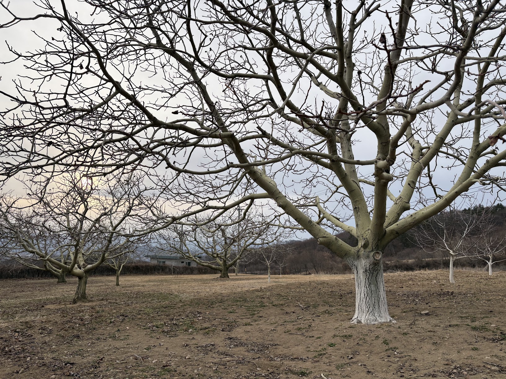 生産の風景 写真
